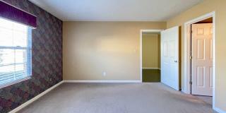 Near Local Shops and Restaurants Gallery 12