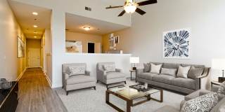 The Peabody Collection Gallery 24