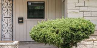 319 Mink Gallery 2
