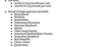 2 bed, 1 bath in great location - move in ready! Gallery 28