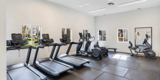 Coconut Palm Club Gallery 33