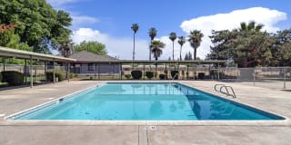 Park West Gallery 23