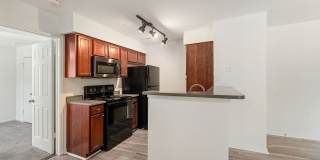 ReNew North Providence Gallery 14