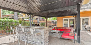 MonteVista Gallery 24