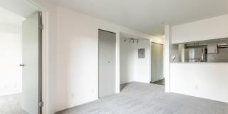 Metropolitan Park Metropolitan Park Gallery 12