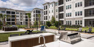 Northhaven Gallery 49