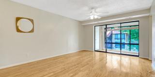 10221 VALENTINO Drive Gallery 11