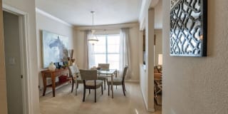 Ascent North Gallery 8