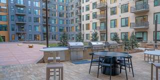 The Broadleaf Gallery 38