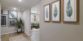 Lincoln Village Gallery 12