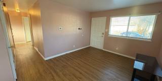 Beautiful 3 Bed 1 Bath Home in Security-Widefield!!! Gallery 6