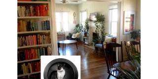 925 Nassau StreetApt 2 925 Nassau StreetApt 2 Gallery 1