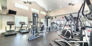 Olympus at The District Gallery 34