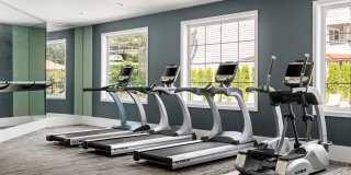 81 Fifty at West Hills Gallery 13