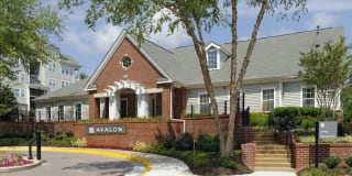 Avalon Tysons Corner Gallery 43