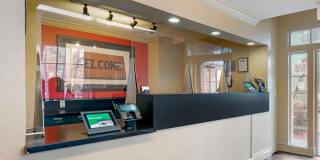 Fort Lauderdale - Davie Gallery 18