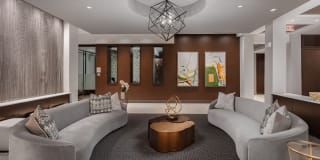 Arcadia Dr. Phillips Arcadia Dr. Phillips Gallery 37