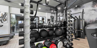 Zone Westgate Gallery 30