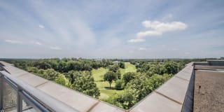 Dominion Plaza Gallery 12