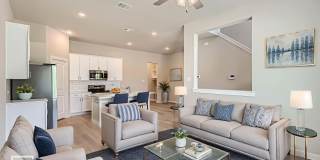 JASPER PLAN Gallery 3