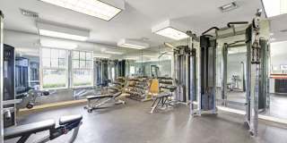 Signal Pointe Gallery 7