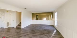 65 Tealwood Street Gallery 27