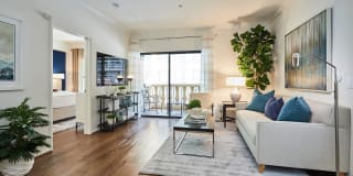 The Piero Gallery 63