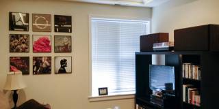 851 West Cornelia Ave. Apt. Gallery 75