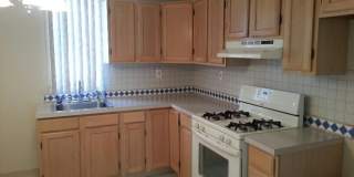 1223 TREE Street Gallery 1