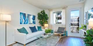 The Willows Gallery 58