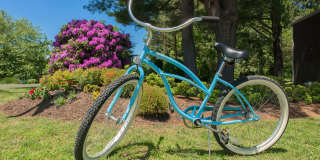 Aspen Chase & Alpine Commons Gallery 28