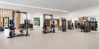 The Amber Gallery 33