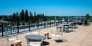 Rivenwood Gallery 19