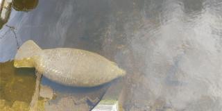 1806 NE 22nd Terrace Gallery 43