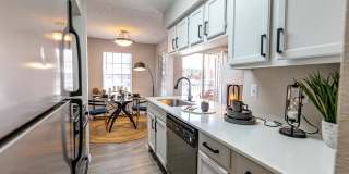 The Orion The Orion Gallery 1