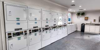 Juniper Springs Gallery 19