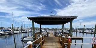 42 Green Turtle Lane Gallery 3