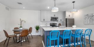 River Birch Apartments Gallery 12