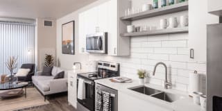 Jules on 3rd Gallery 5