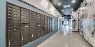 The Shale Gallery 27