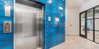 Neuhaus Gallery 23
