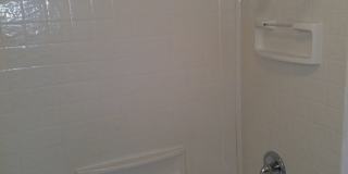 Forest Ridge Gallery 88