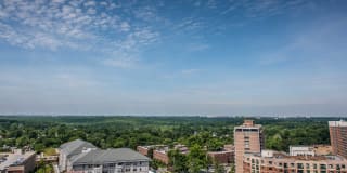 The Veridian Gallery 94