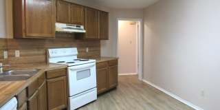 1706 Wickfield Way Gallery 7