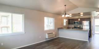 4939 Potter Park Loop Gallery 14