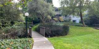 2159 Shelter Creek Lane Gallery 15