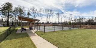 The Aster Gallery 28