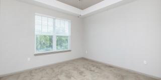 RIZE at Winter Springs Gallery 96