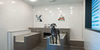 The Dagny Gallery 28