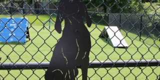 Stonehaven Gallery 28